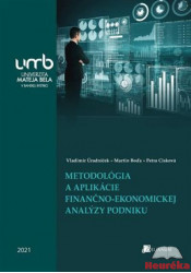 Metodológia a aplikácie finančno-ekonomickej analýzy podniku